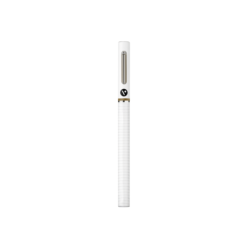 Vype eStick Maxx