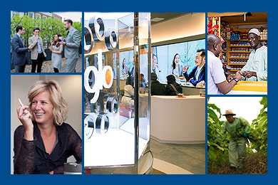 Annual report