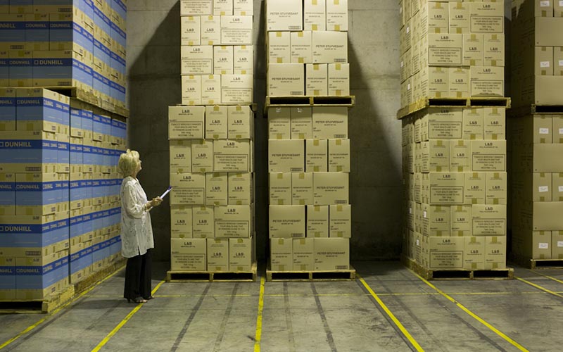 Employee inspecting warehouse