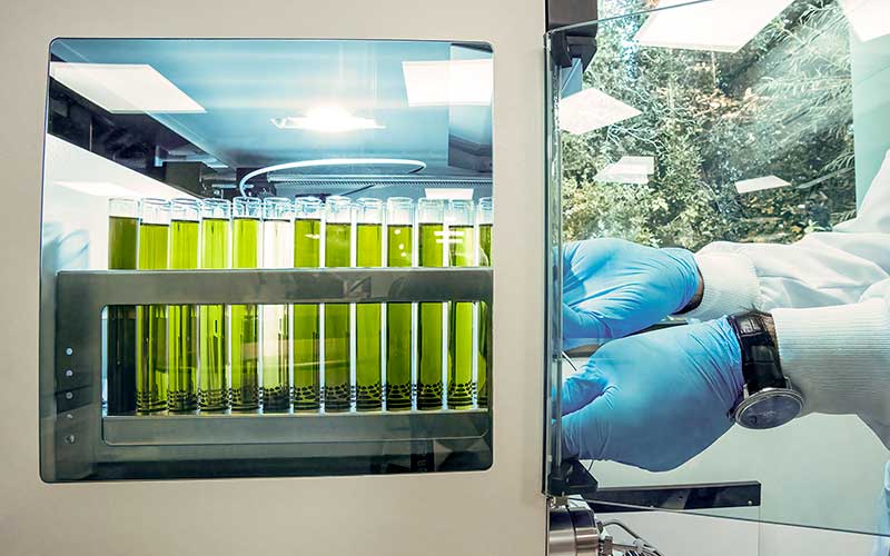 Quarterly Science Update