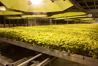 Kentucky BioProcessing
