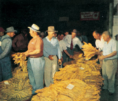 Our History 1953-1955