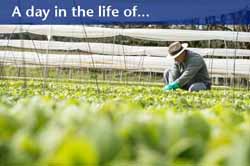 A day in the life of...