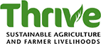 Thrive