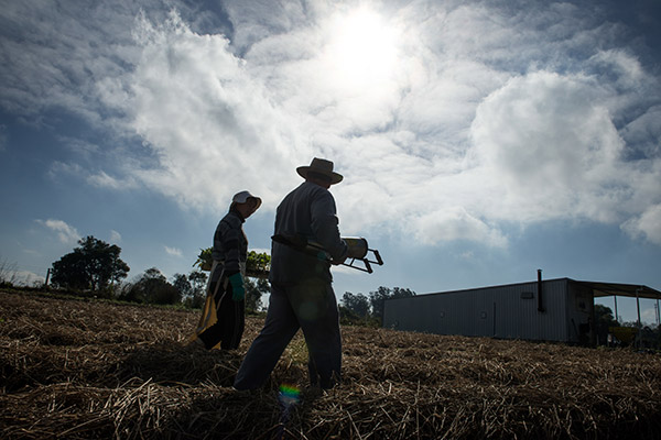 Sustainable farming
