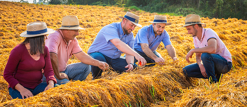 Farmers in Brazil
