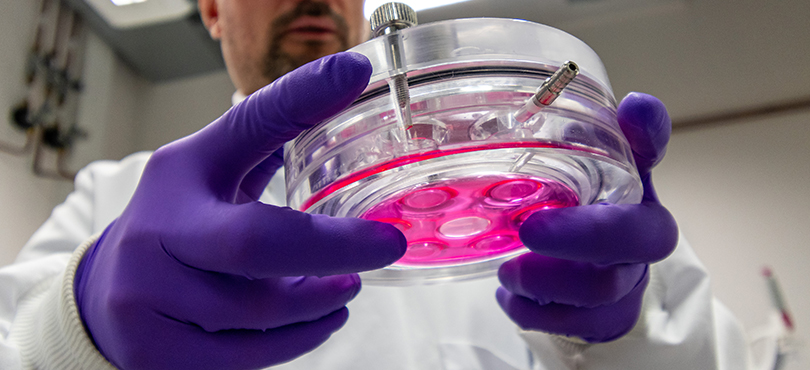 Science and innovation