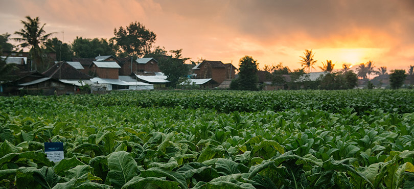 Accelerating our progress towards a sustainable future
