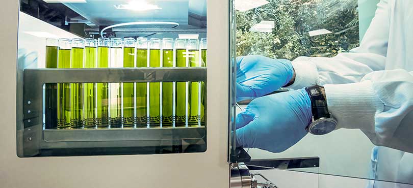 Quarterly Science Update