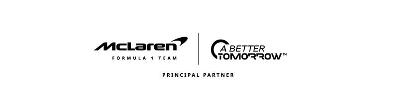 Principal partner
