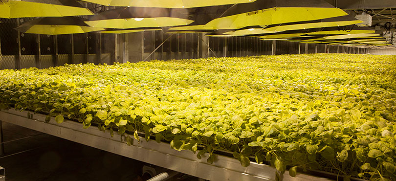 Kentucky BioProcessing