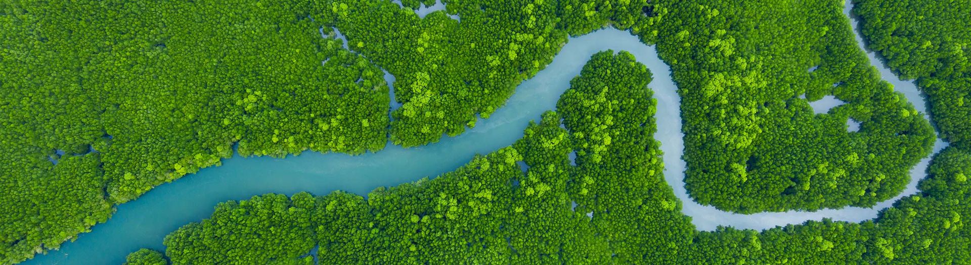 Biodiversity and ecosystems