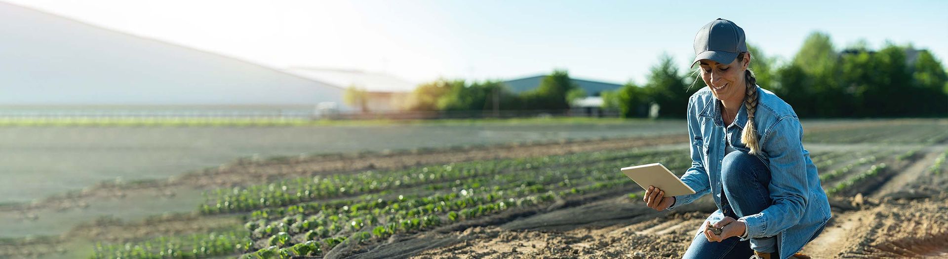 Soil conservation and improvement