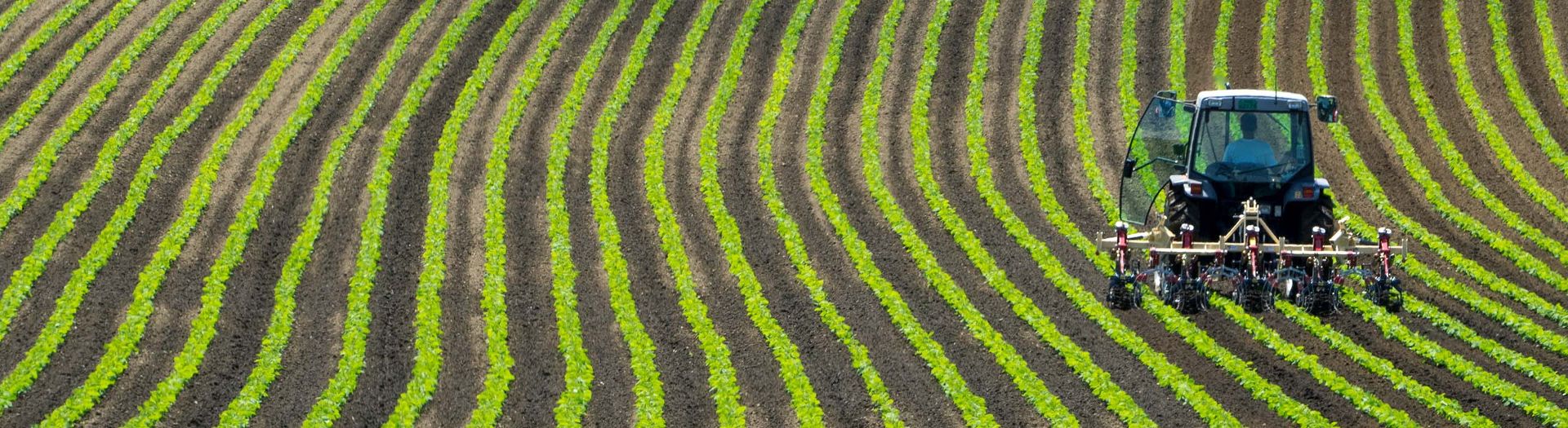 Farmer livelihoods and sustainable agriculture