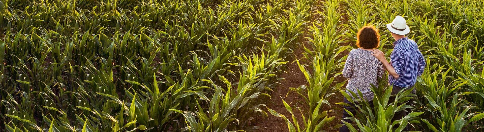 Focused support for farming communities