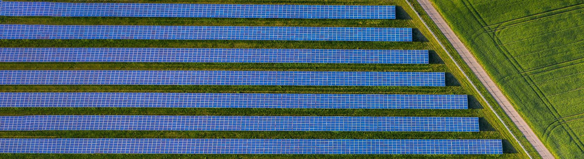 Sustainability governance