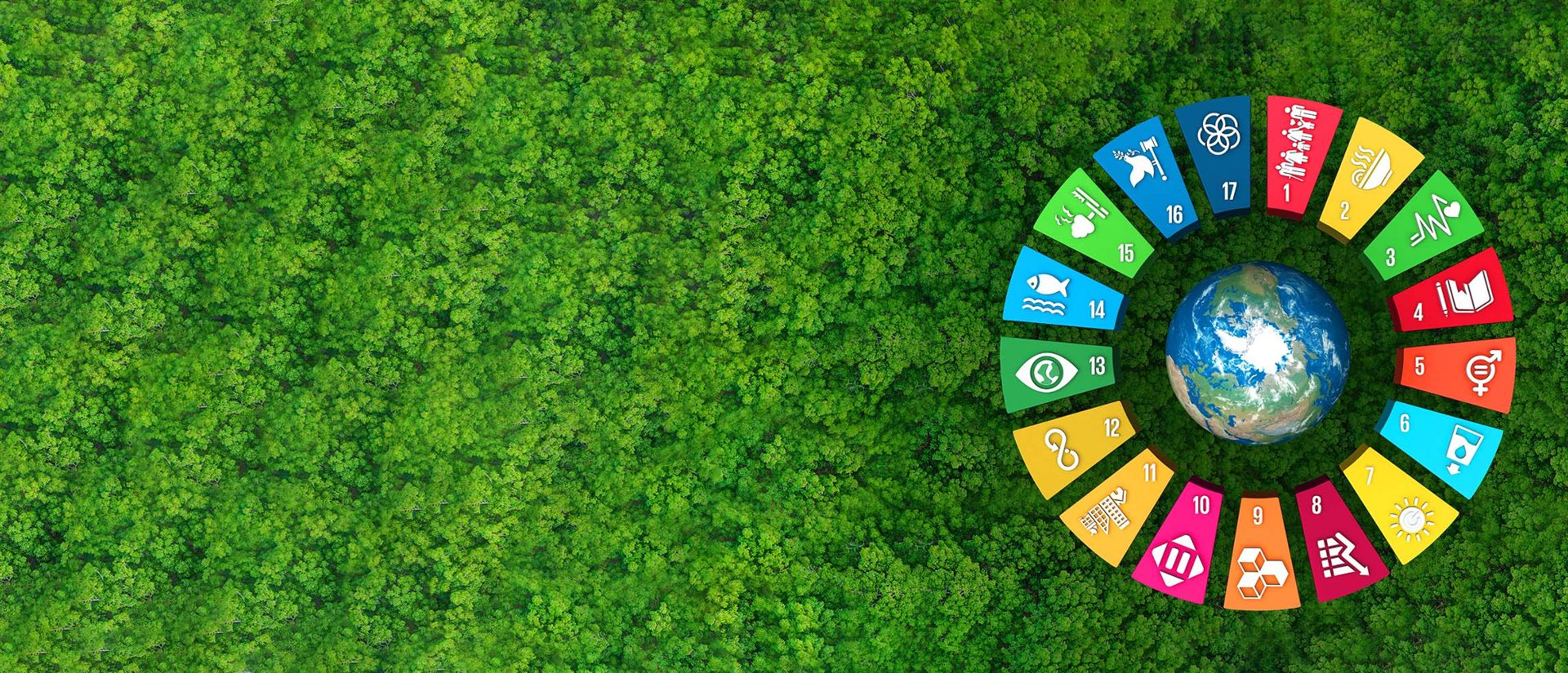 Our sustainability agenda