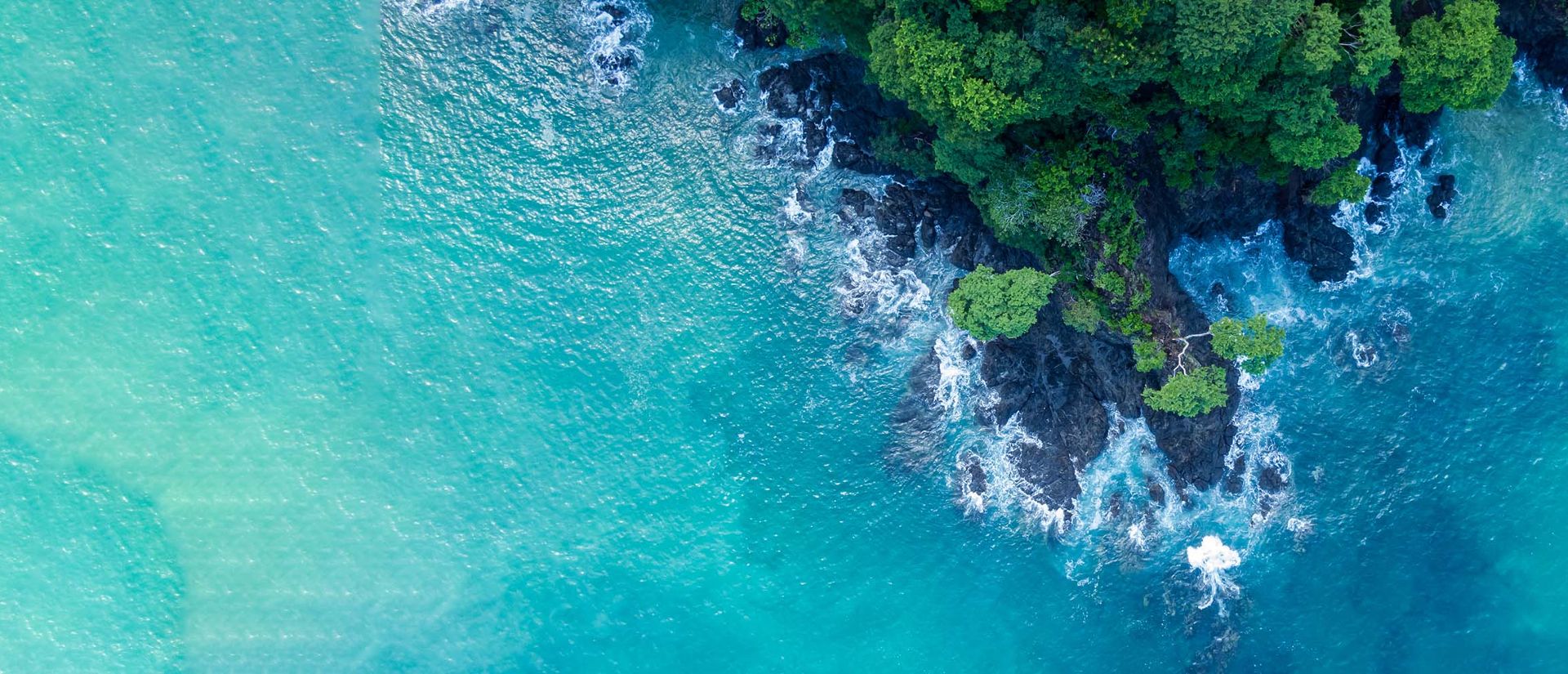 Sustainability for Investors