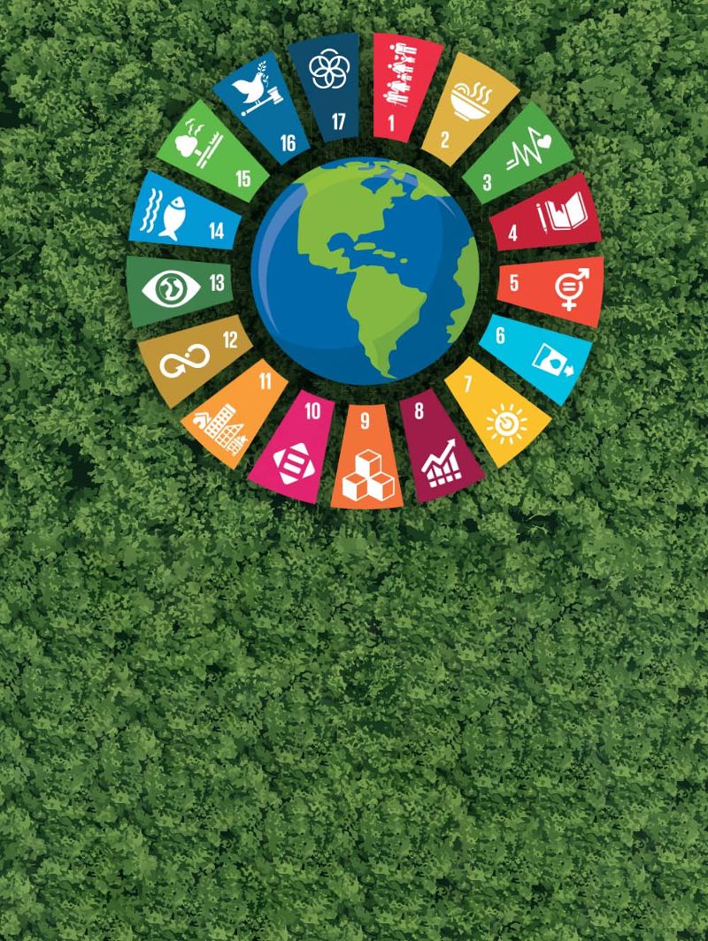 Our sustainability agenda