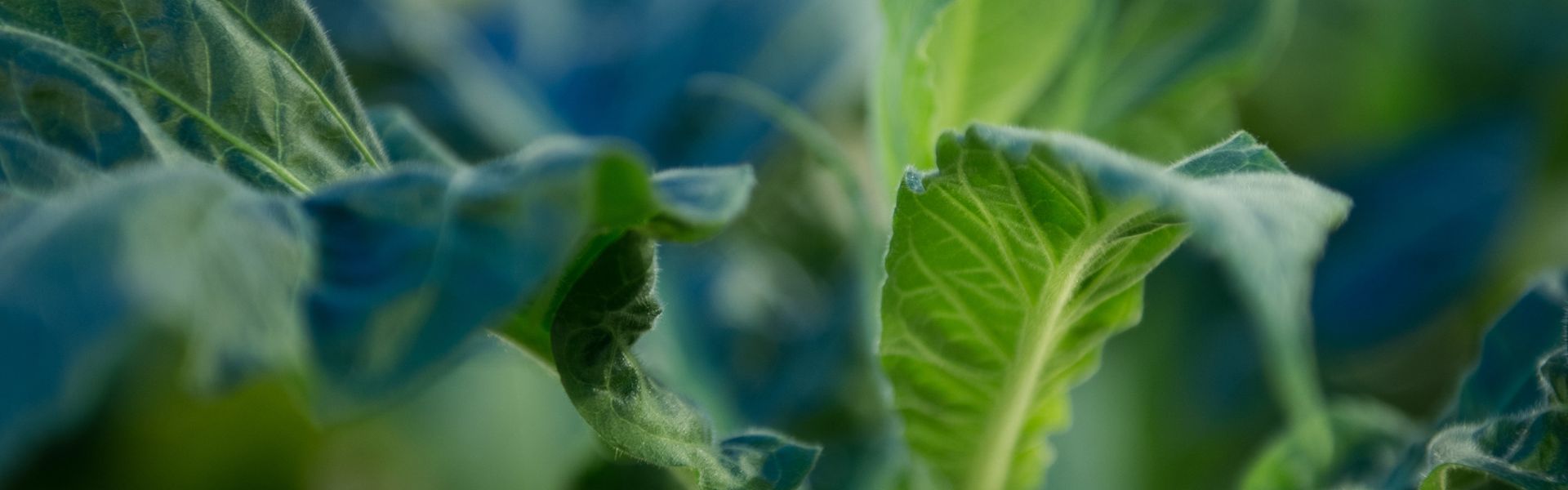 Sustainable business