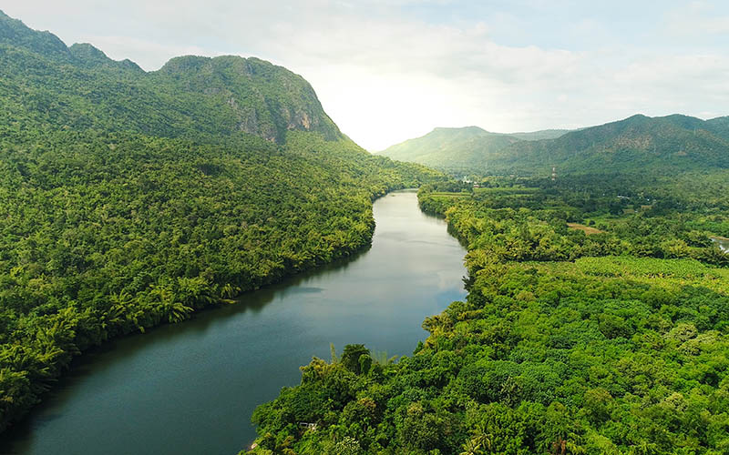 Diverse river