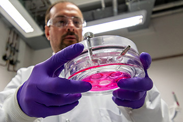 Science and Innovation report